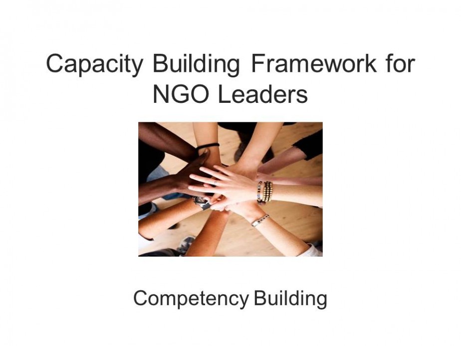 Capacity Building Framework for NGO Leaders