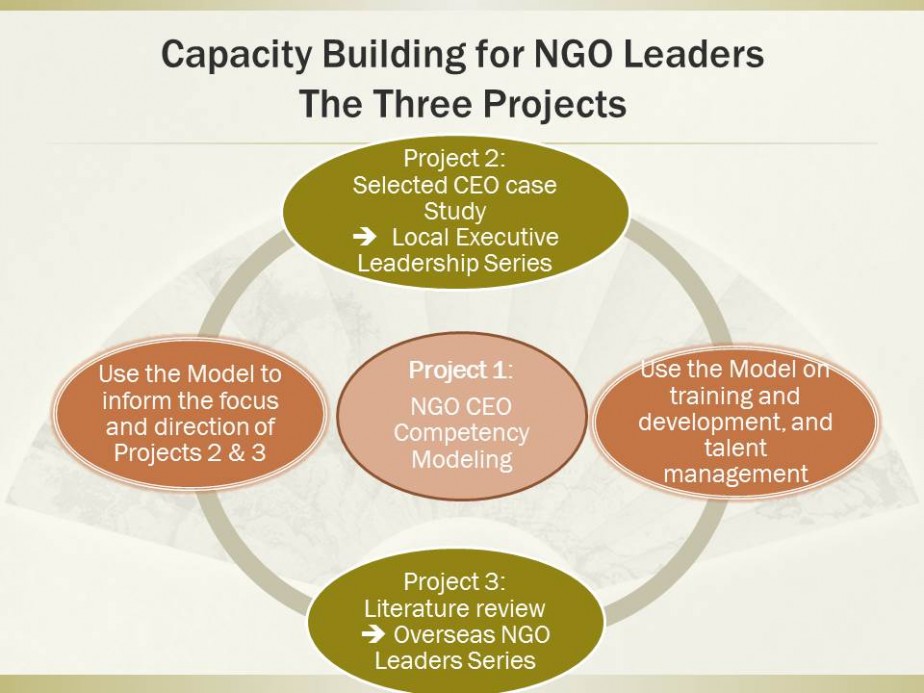Capacity Building Framework for NGO Leaders