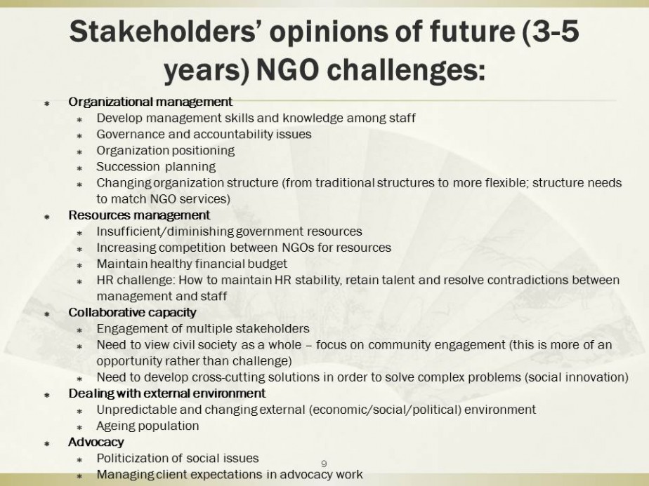 Capacity Building Framework for NGO Leaders