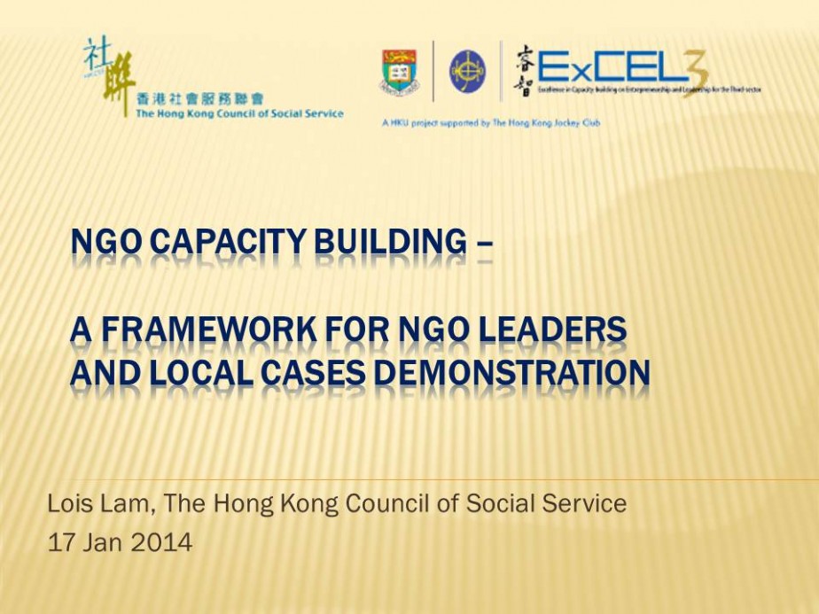 Capacity Building Framework for NGO Leaders