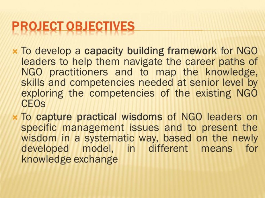 Capacity Building Framework for NGO Leaders