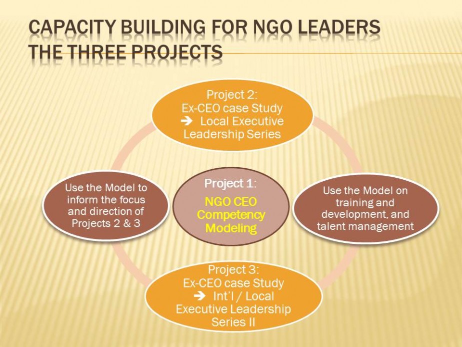 Capacity Building Framework for NGO Leaders