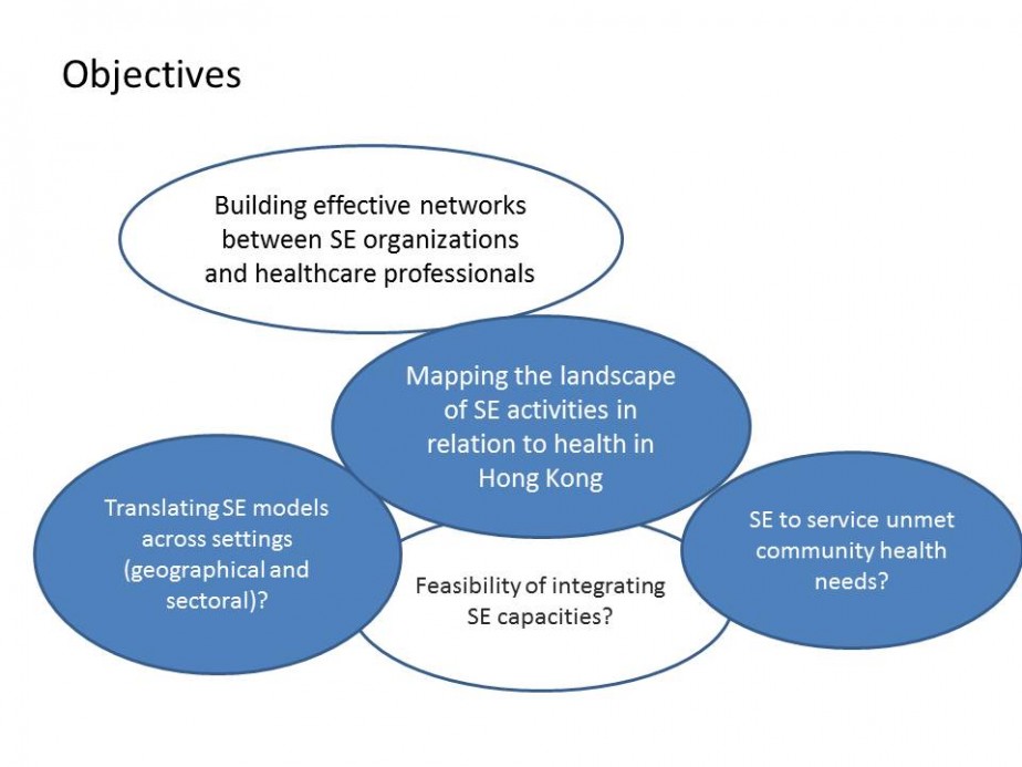 Social Entrepreneurship for Health: Enhancing Networks and Building Capacities