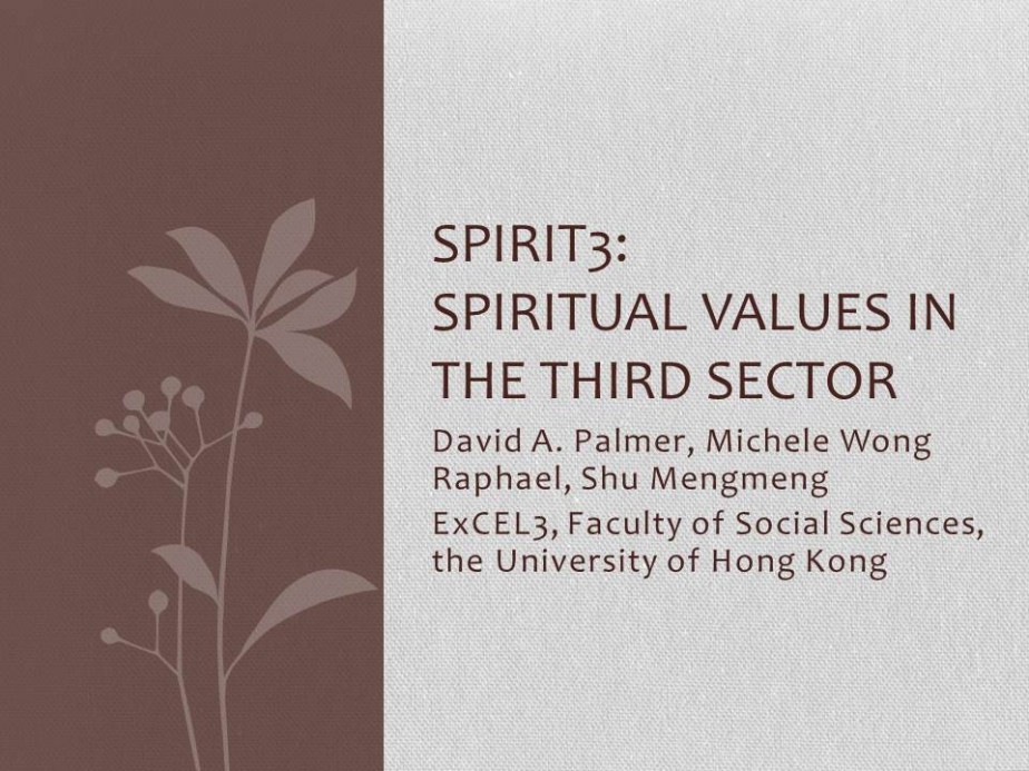 Spiritual Capital in the Third Sector