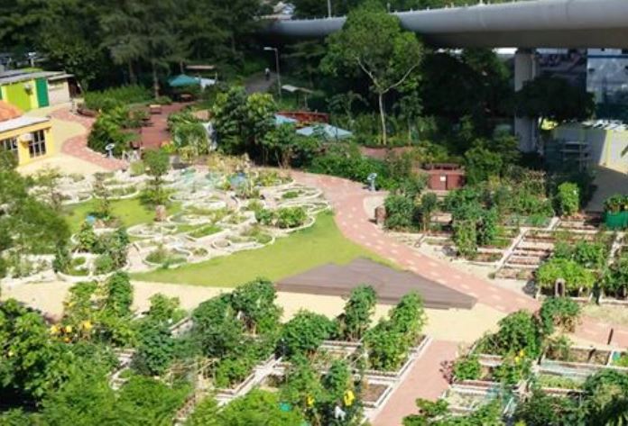 Urban Oasis
