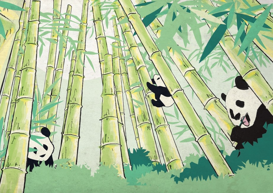 PH-Community-Art-Panda.jpg