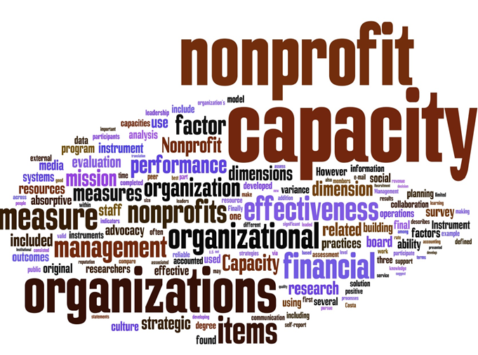 Organizational Health for Non-Governmental Organizations