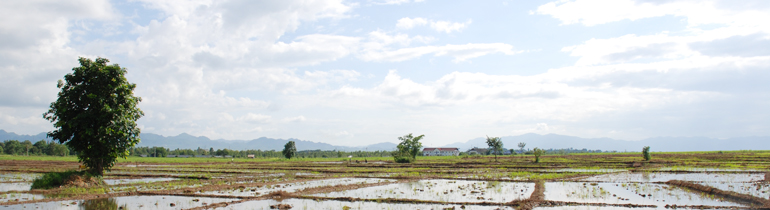 MOEI Thailand