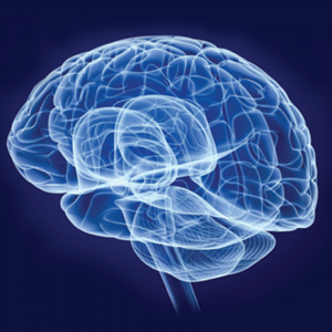 Social and Cognitive Neuroscience