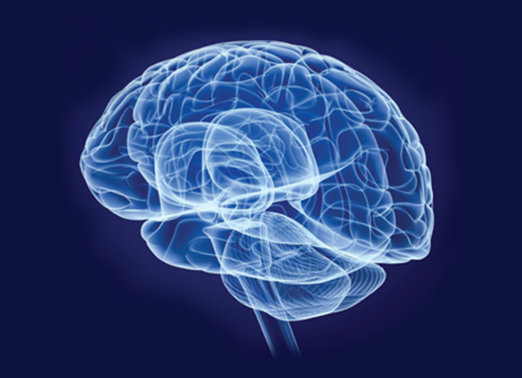 Social and Cognitive Neuroscience Social and Cognitive Neuroscience