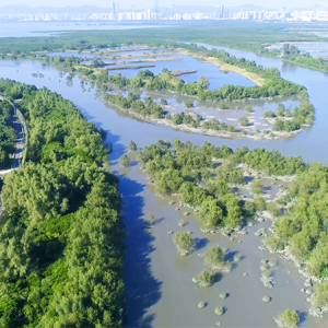 Water Initiative on Sustainability and Engagement 惜水‧識河