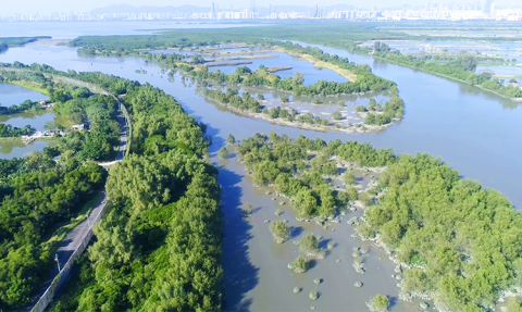 Water Initiative on Sustainability and Engagement 惜水‧識河