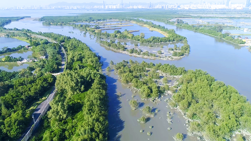 Water Initiative on Sustainability and Engagement 惜水‧識河