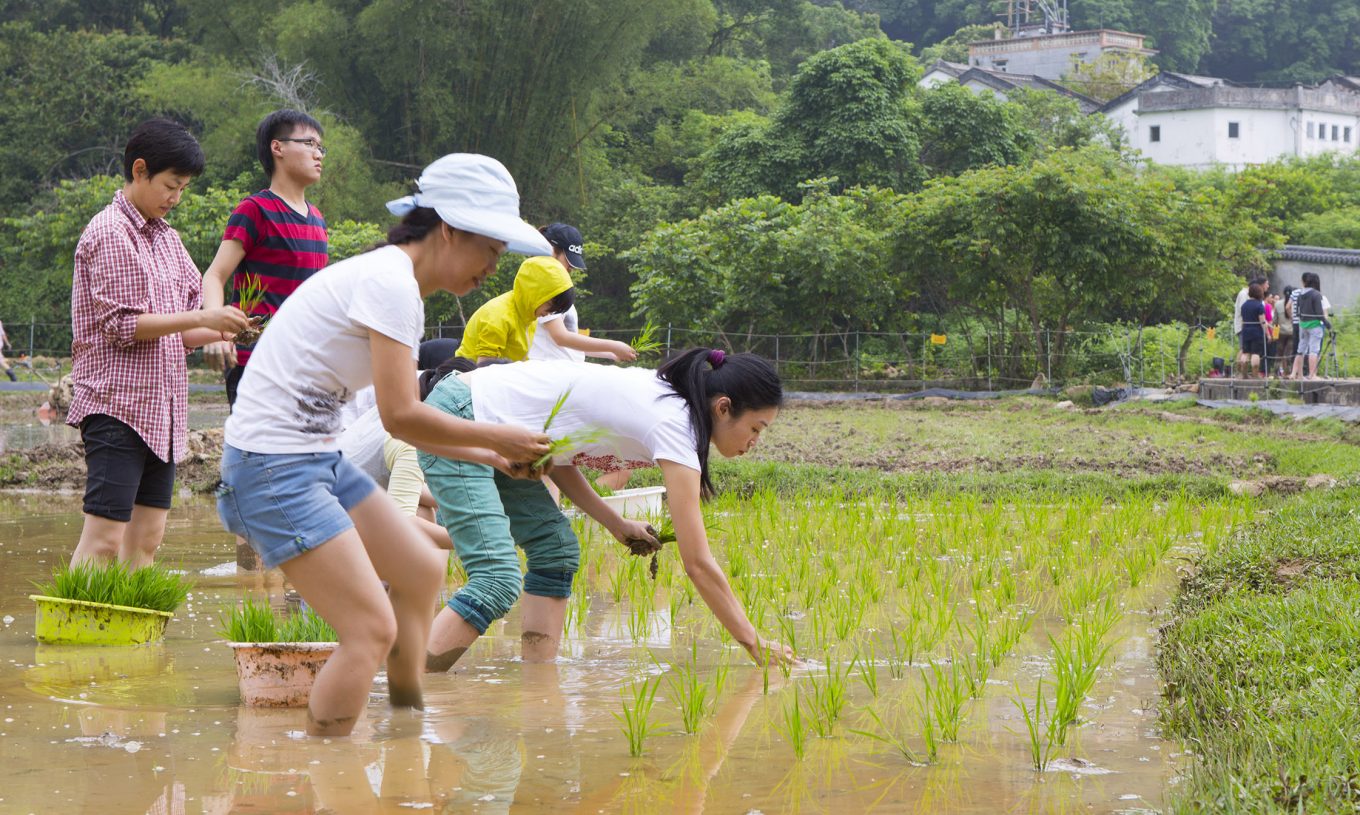 Rural Sustainability @ Lai Chi Wo 永續荔枝窩