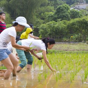 Rural Sustainability @ Lai Chi Wo 永續荔枝窩