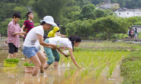 Rural Sustainability @ Lai Chi Wo 永續荔枝窩