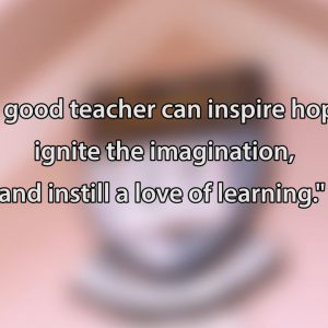 Teaching Excellence