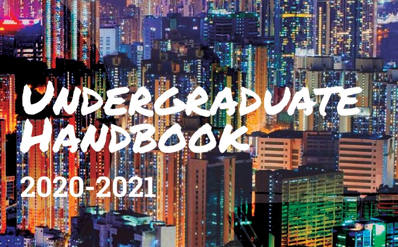 Undergraduate handbook
