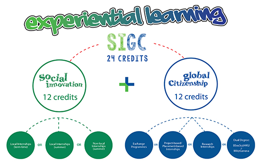 Social Innovation and Global Citizenship