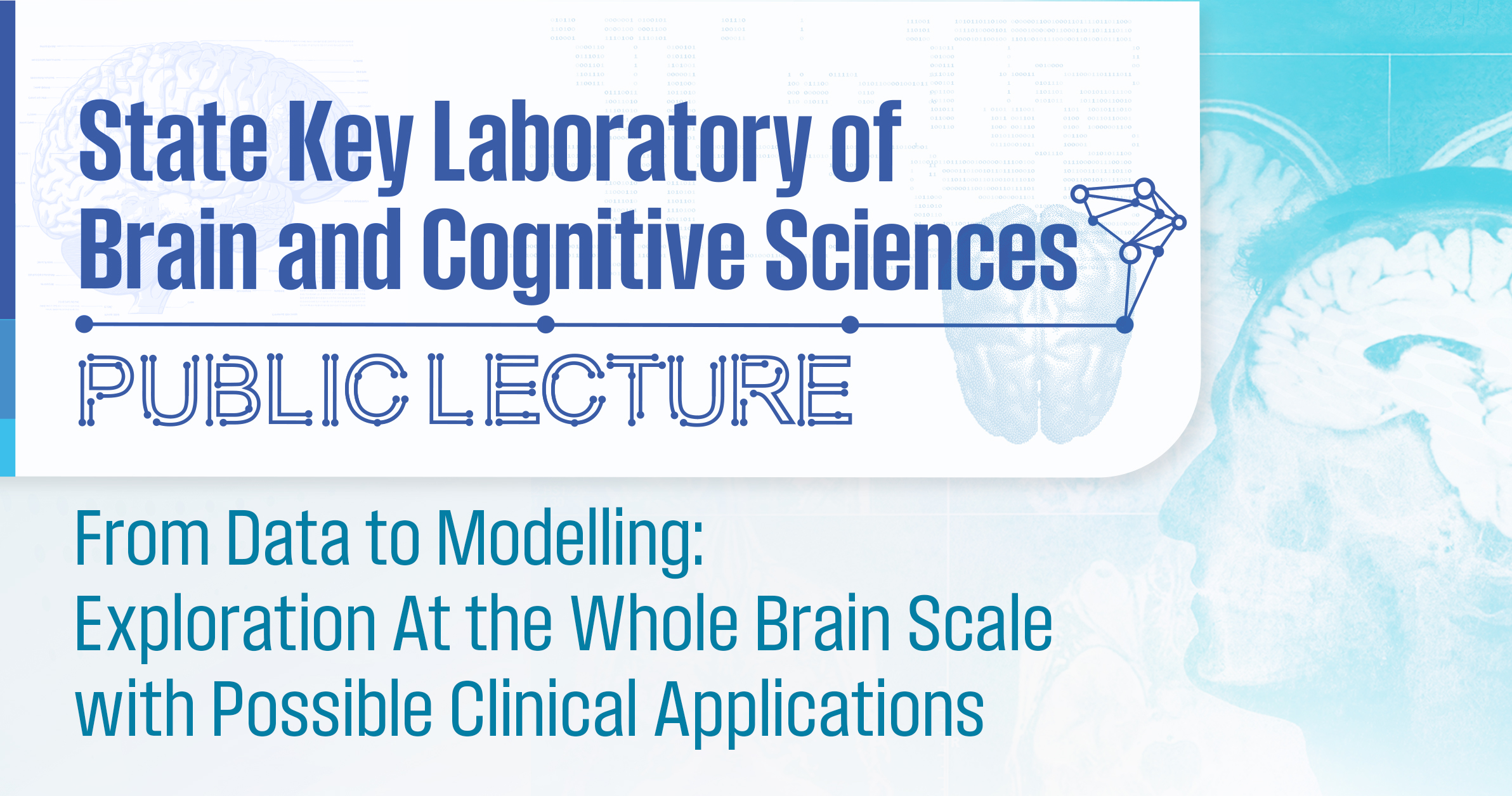 From Data to Modelling:Exploration At the Whole Brain Scale with Possible Clinical Applications