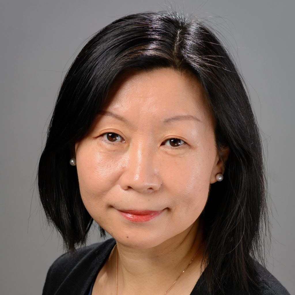 Hku research hub of population studies conference on global demographic