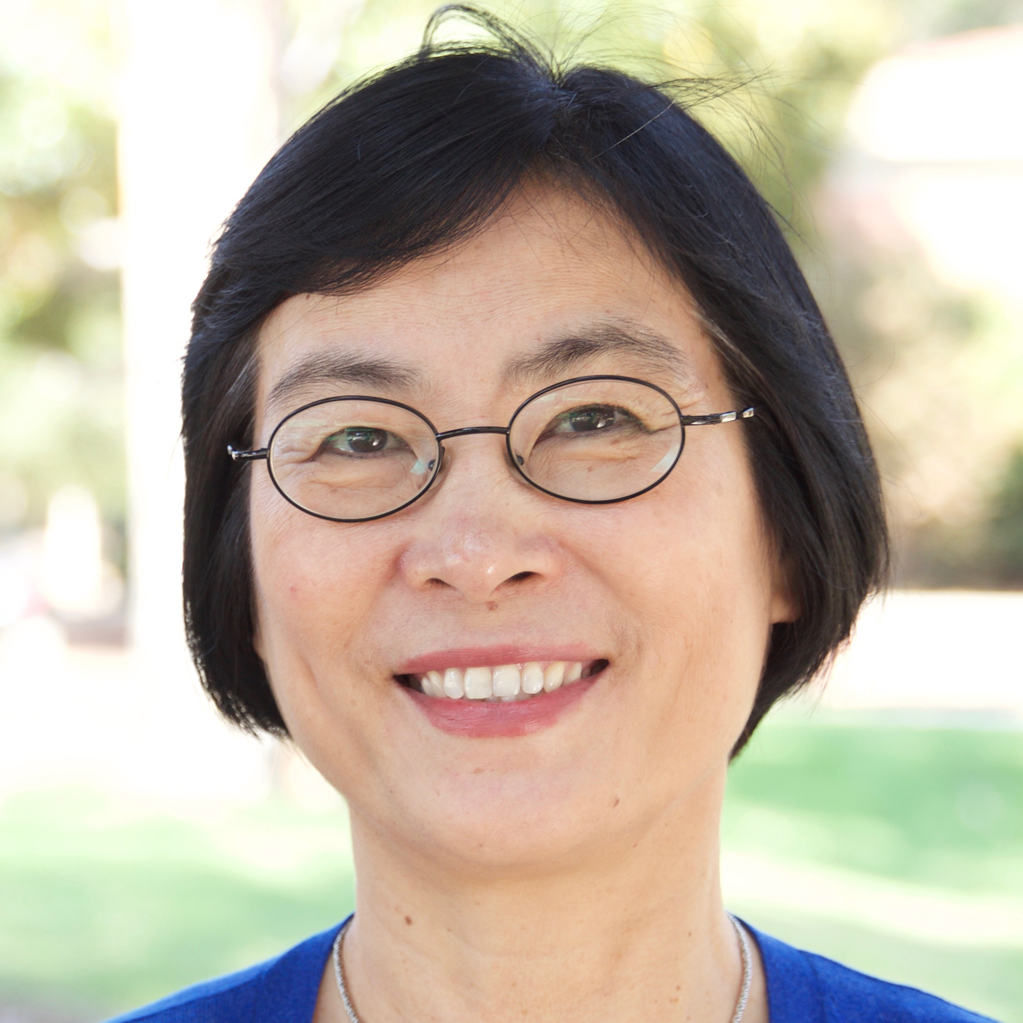 Professor Min Zhou