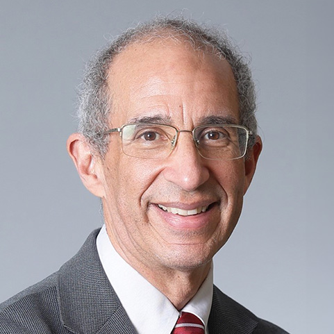 Professor David Bishai