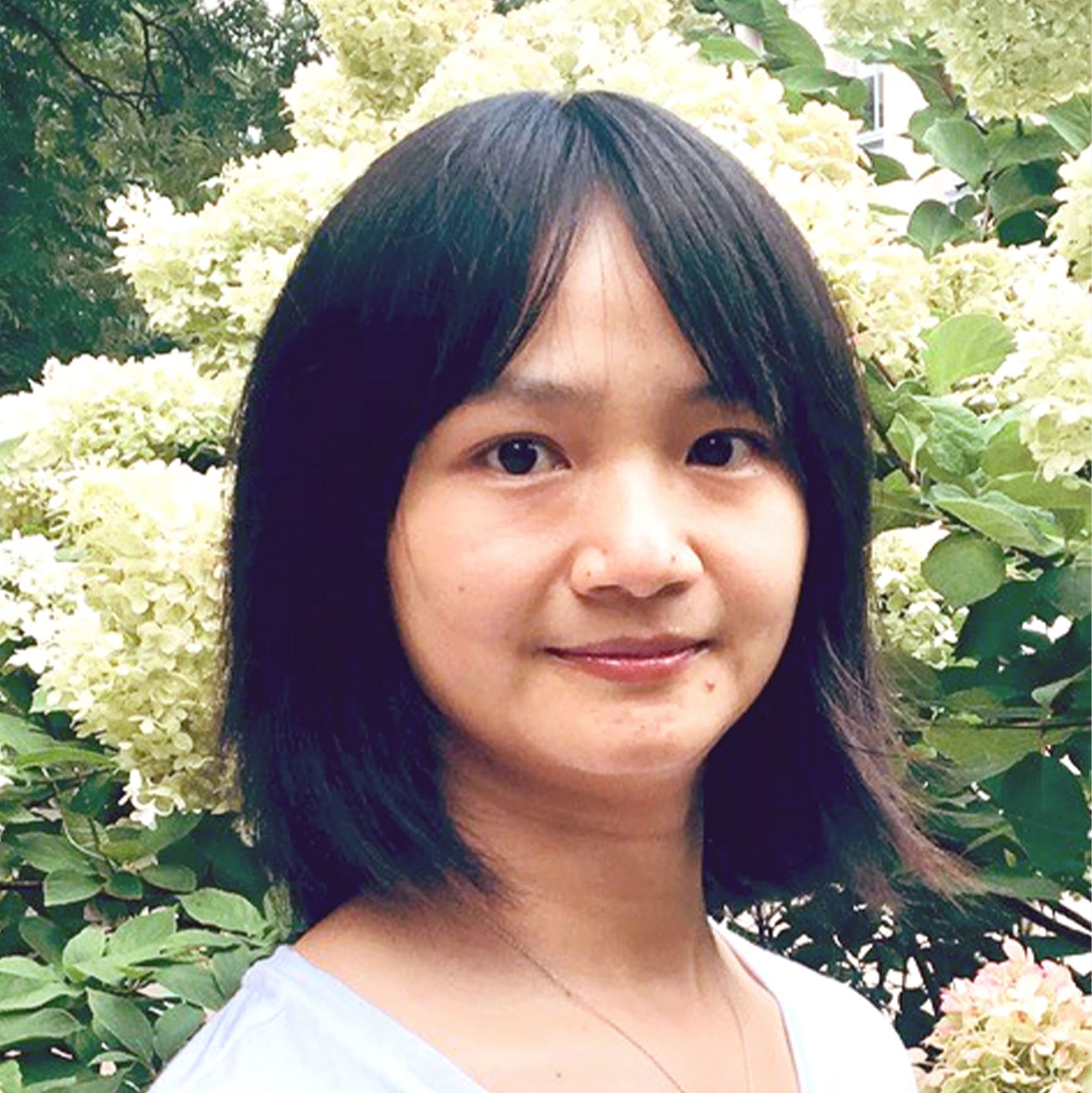 Professor Liying Luo