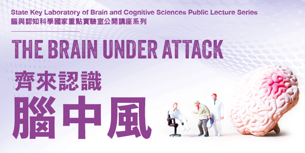 The Brain under Attack