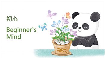 Beginner's Mind_border