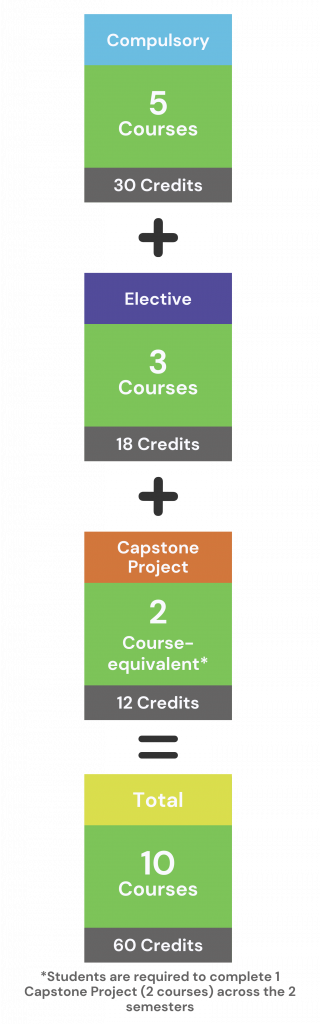(Vertical) MSDA curriculum_20241128